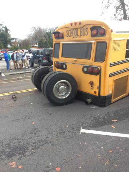 morning picdump 54 pics 4.html - 54 HD Photos | Premium Gallery 2015