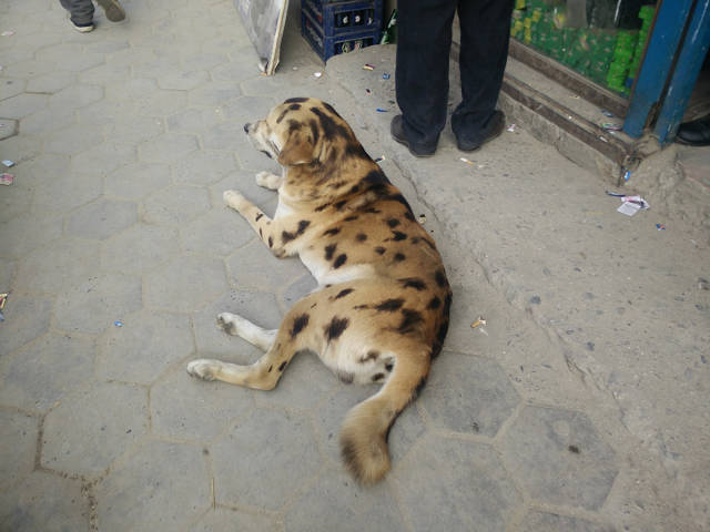 morning picdump 54 pics 4.html - 54 HD Photos | Premium Gallery 2015