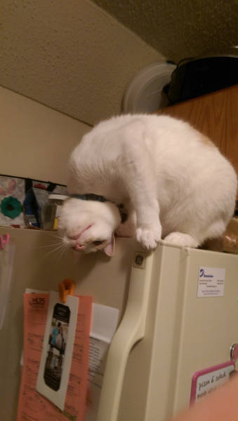 morning picdump 54 pics 4.html - 54 HD Photos | Premium Gallery 2015