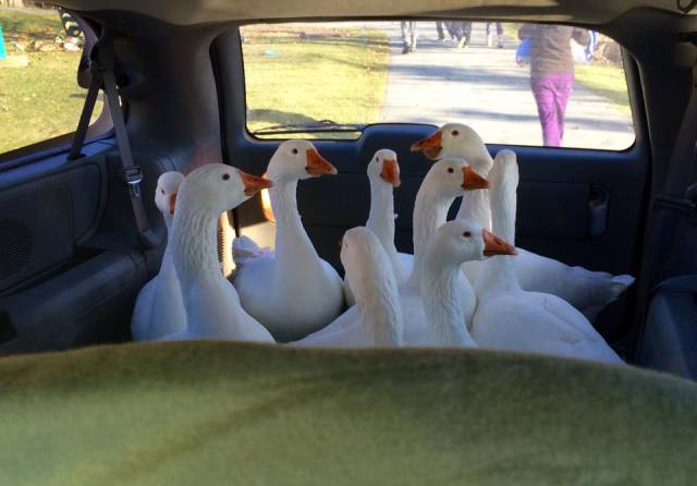 morning picdump 54 pics 4.html - 54 HD Photos | Premium Gallery 2015