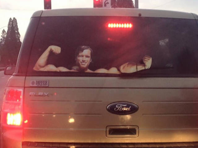 page,14,top 450 funny pics of the year 2015.html - 1 HD Photos | Premium Gallery 2015