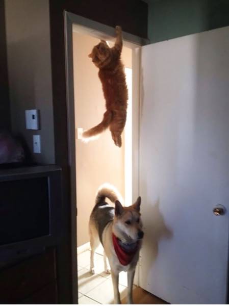 morning picdump 50 pics 3.html - 50 HD Photos | Premium Gallery 2015