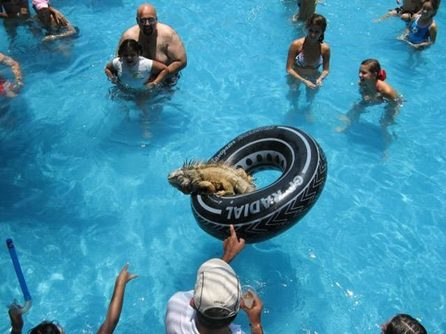 morning picdump 50 pics 3.html - 50 HD Photos | Premium Gallery 2015