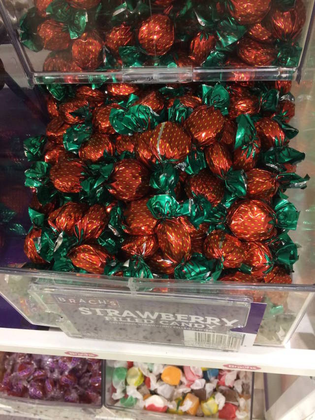 morning picdump 50 pics 3.html - 50 HD Photos | Premium Gallery 2015