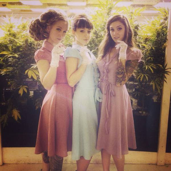 page,23,top 1500 daily pics of the year 2015.html - 1 HD Photos | Premium Gallery 2015