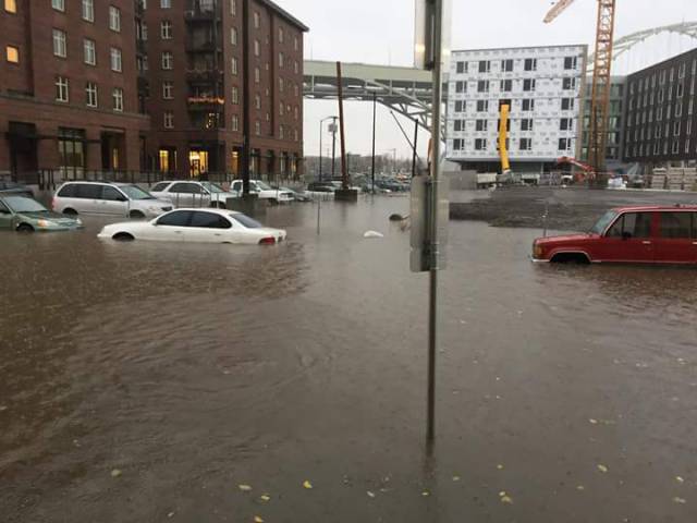 morning picdump 53 pics 9.html - 53 HD Photos | Premium Gallery 2015