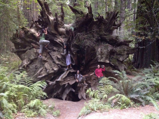 morning picdump 53 pics 9.html - 53 HD Photos | Premium Gallery 2015