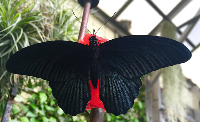 morning picdump 50 pics 7.html - 50 HD Photos | Premium Gallery 2015