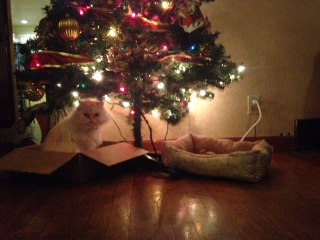 morning picdump 50 pics 7.html - 50 HD Photos | Premium Gallery 2015