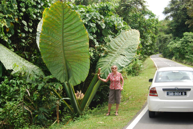 morning picdump 51 pics 14.html - 51 HD Photos | Premium Gallery 2015