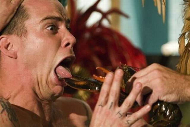 daily picdump 96 pics 36.html - 96 HD Photos | Premium Gallery 2015