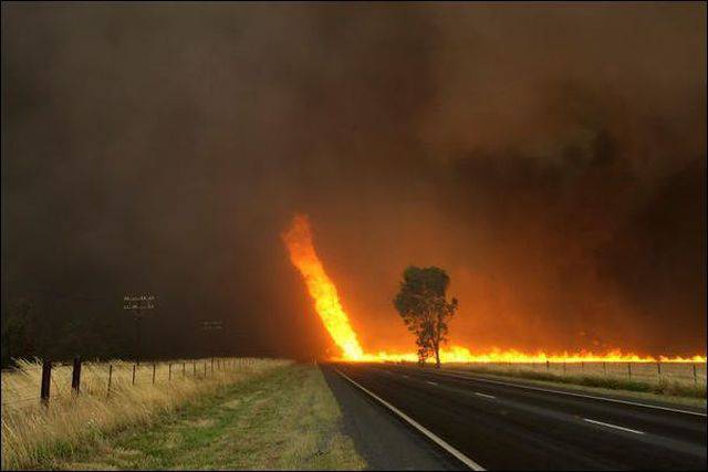 daily picdump 96 pics 36.html - 96 HD Photos | Premium Gallery 2015