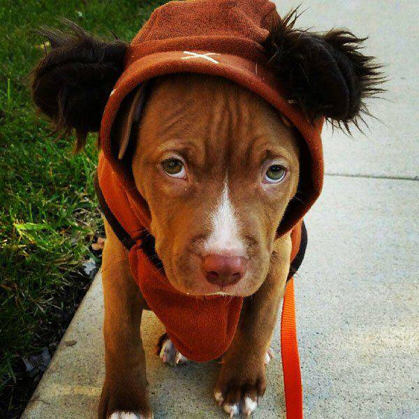 daily picdump 96 pics 36.html - 96 HD Photos | Premium Gallery 2015