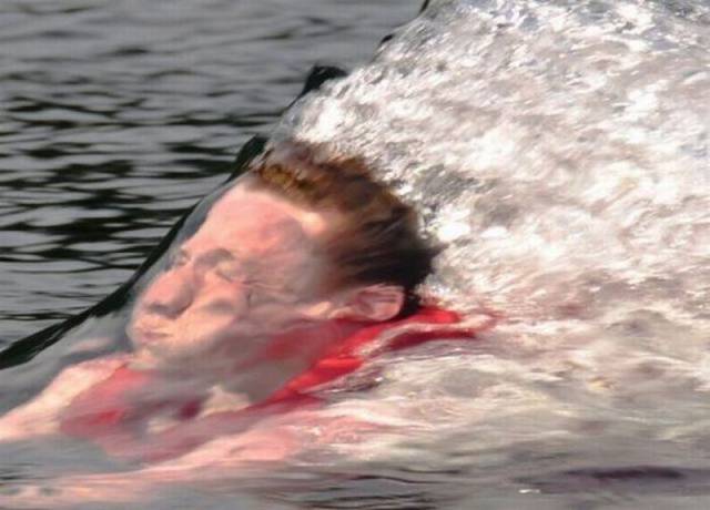 daily picdump 96 pics 36.html - 96 HD Photos | Premium Gallery 2015