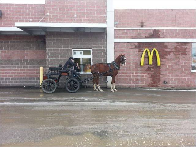 daily picdump 96 pics 36.html - 96 HD Photos | Premium Gallery 2015