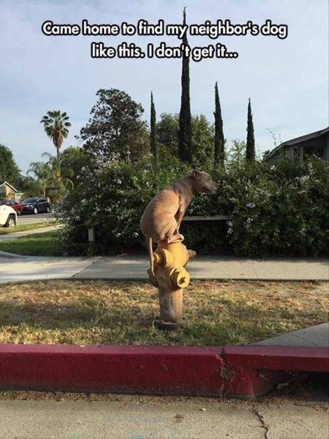 daily picdump 96 pics 36.html - 96 HD Photos | Premium Gallery 2015