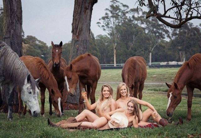 grownup corner 60 pics 12 gifs 2.html - 60 HD GIF | Premium Gallery 2015