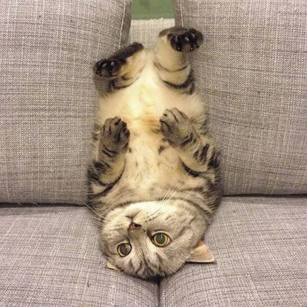 morning picdump 51 pics 2.html - 51 HD Photos | Premium Gallery 2015