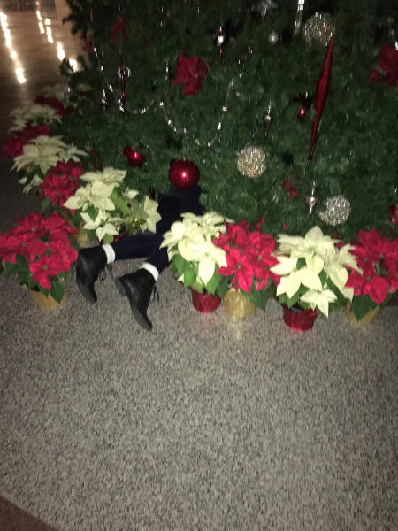 morning picdump 51 pics 2.html - 51 HD Photos | Premium Gallery 2015