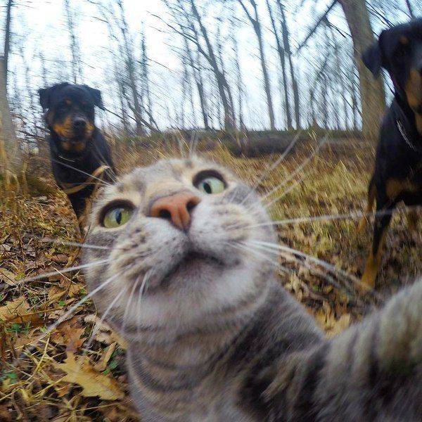 daily picdump 105 pics 24.html - 105 HD Photos | Premium Gallery 2015