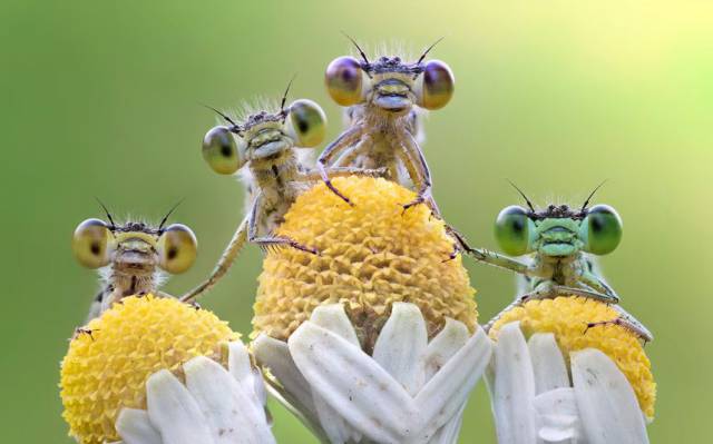 daily picdump 105 pics 24.html - 105 HD Photos | Premium Gallery 2015