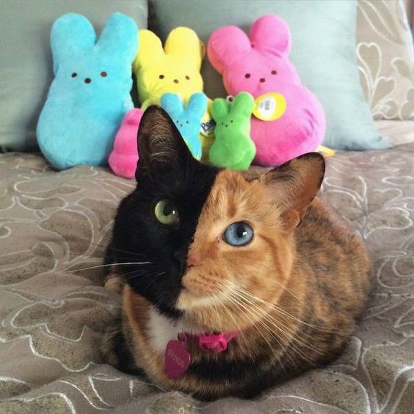 daily picdump 105 pics 24.html - 105 HD Photos | Premium Gallery 2015