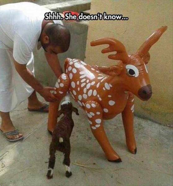 daily picdump 105 pics 24.html - 105 HD Photos | Premium Gallery 2015