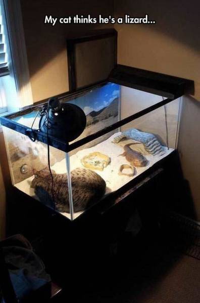 daily picdump 105 pics 24.html - 105 HD Photos | Premium Gallery 2015