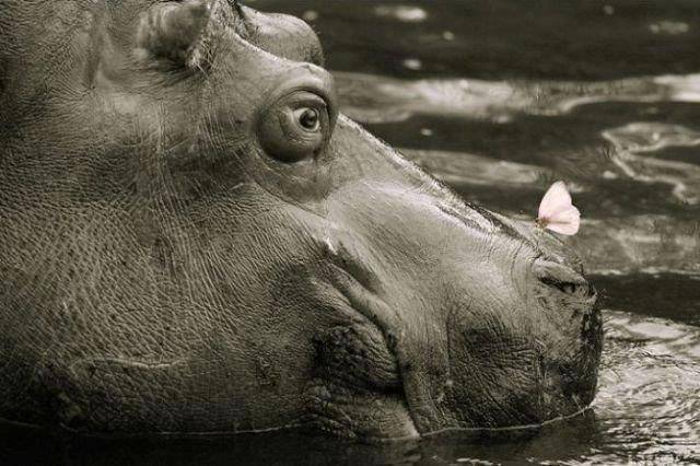 daily picdump 105 pics 24.html - 105 HD Photos | Premium Gallery 2015