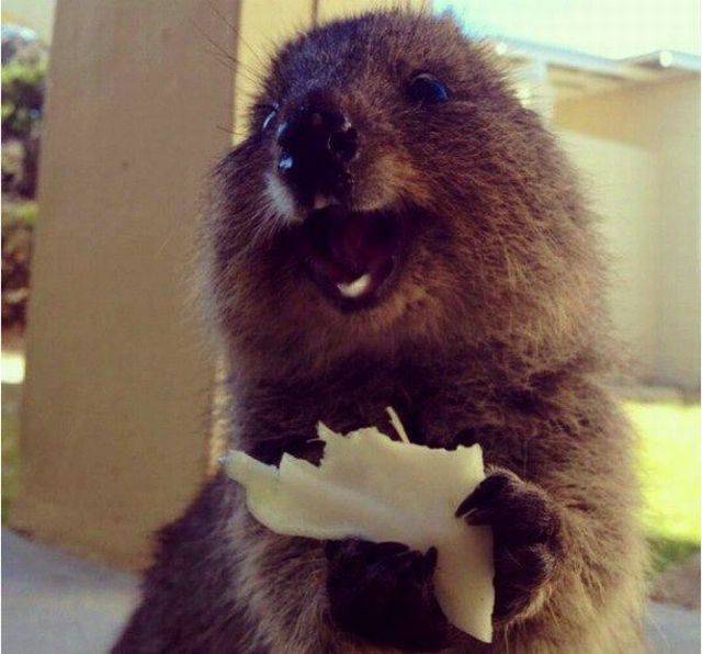 daily picdump 105 pics 24.html - 105 HD Photos | Premium Gallery 2015