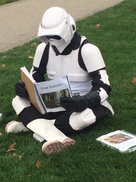 morning picdump 54 pics 15.html - 54 HD Photos | Premium Gallery 2015