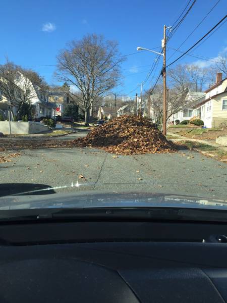 morning picdump 54 pics 15.html - 54 HD Photos | Premium Gallery 2015