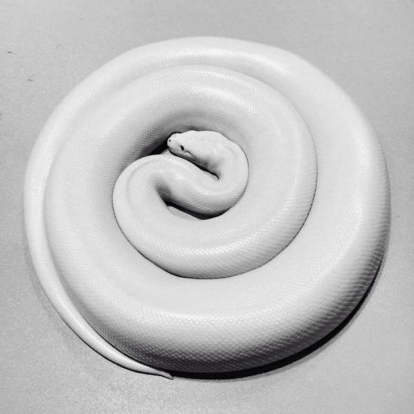 daily picdump 96 pics 38.html - 96 HD Photos | Premium Gallery 2015