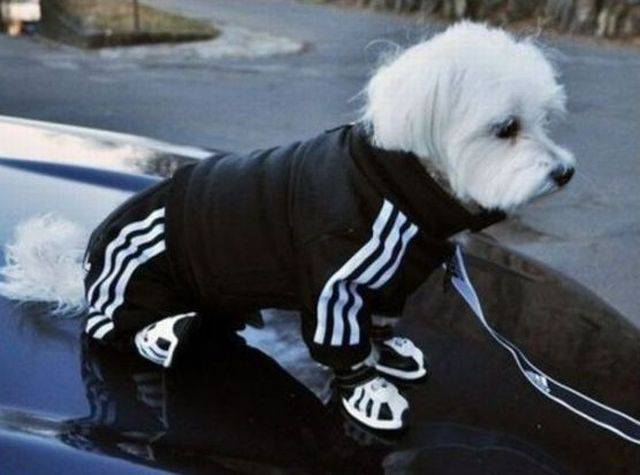 daily picdump 96 pics 38.html - 96 HD Photos | Premium Gallery 2015