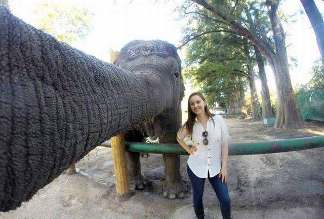 daily picdump 96 pics 38.html - 96 HD Photos | Premium Gallery 2015