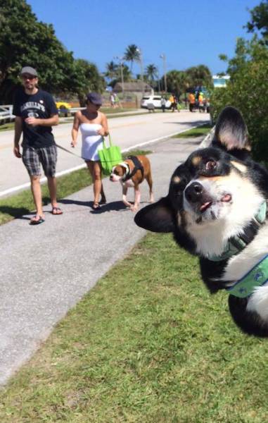 daily picdump 96 pics 38.html - 96 HD Photos | Premium Gallery 2015