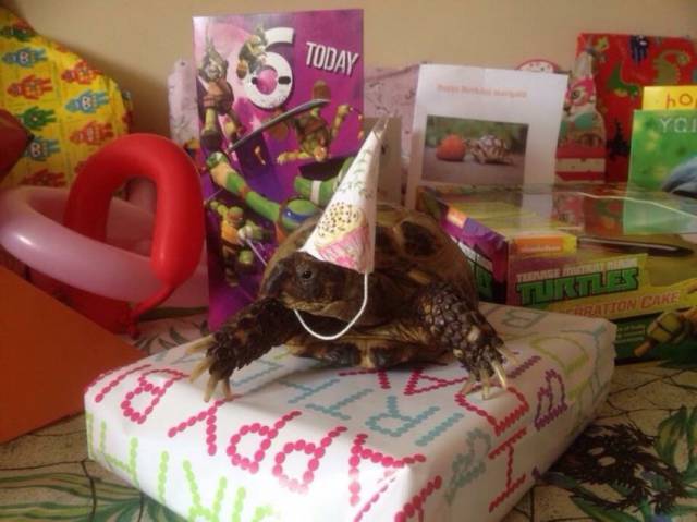 daily picdump 96 pics 38.html - 96 HD Photos | Premium Gallery 2015