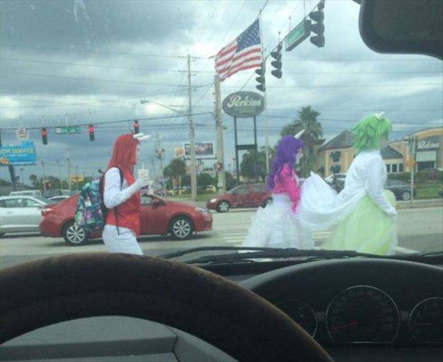 daily picdump 96 pics 38.html - 96 HD Photos | Premium Gallery 2015