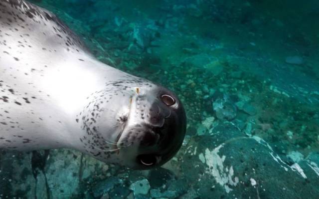 daily picdump 96 pics 38.html - 96 HD Photos | Premium Gallery 2015