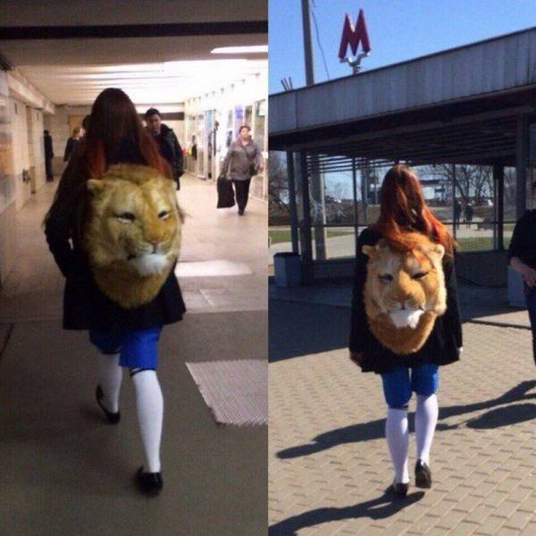 daily picdump 96 pics 38.html - 96 HD Photos | Premium Gallery 2015