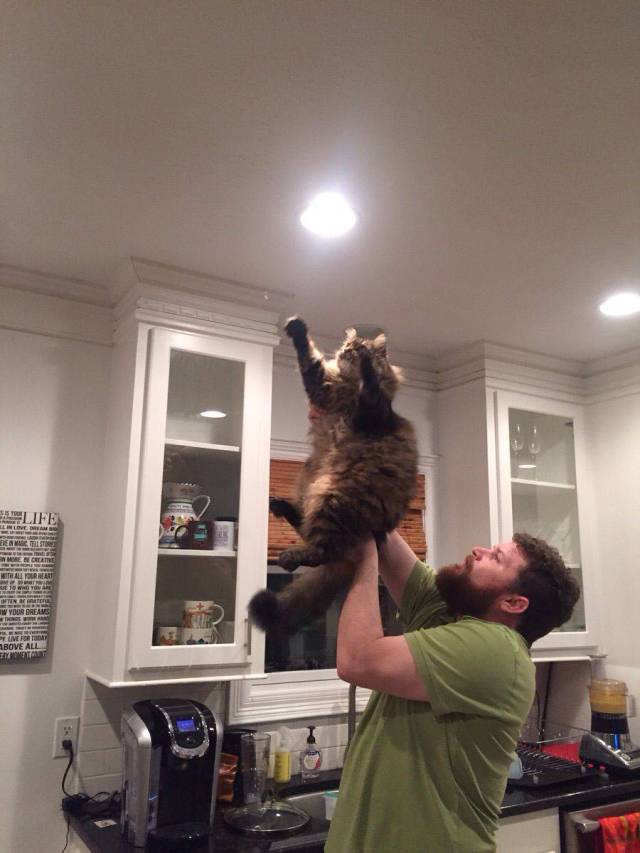 daily picdump 96 pics 38.html - 96 HD Photos | Premium Gallery 2015