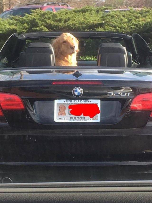 daily picdump 96 pics 38.html - 96 HD Photos | Premium Gallery 2015