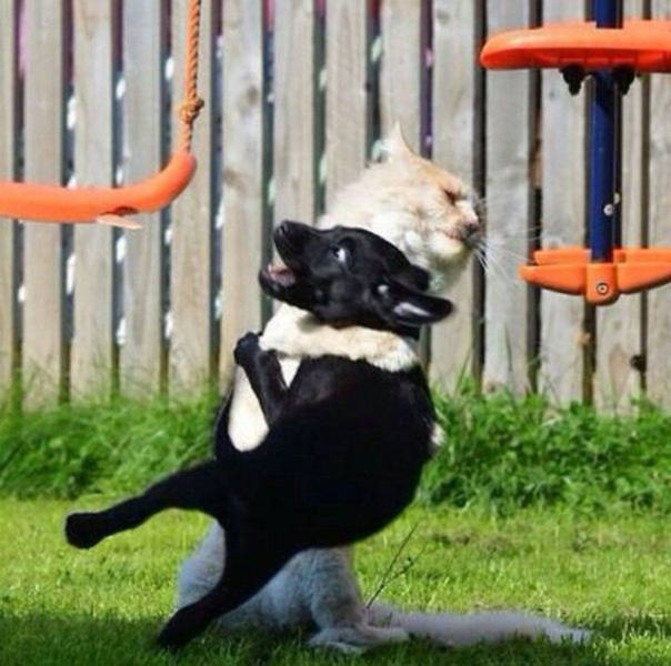 morning picdump 50 pics 9.html - 50 HD Photos | Premium Gallery 2015