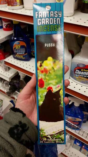 morning picdump 50 pics 9.html - 50 HD Photos | Premium Gallery 2015