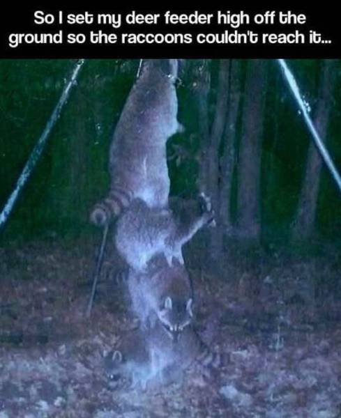 page,24,top 1500 daily pics of the year 2015.html - 1 HD Photos | Premium Gallery 2015