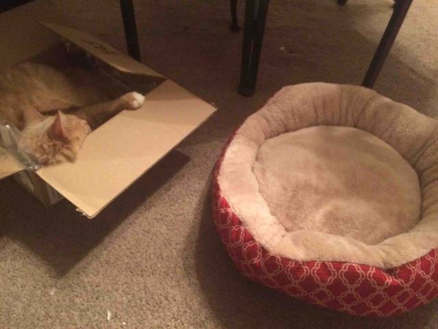 morning picdump 54 pics 18.html - 54 HD Photos | Premium Gallery 2015