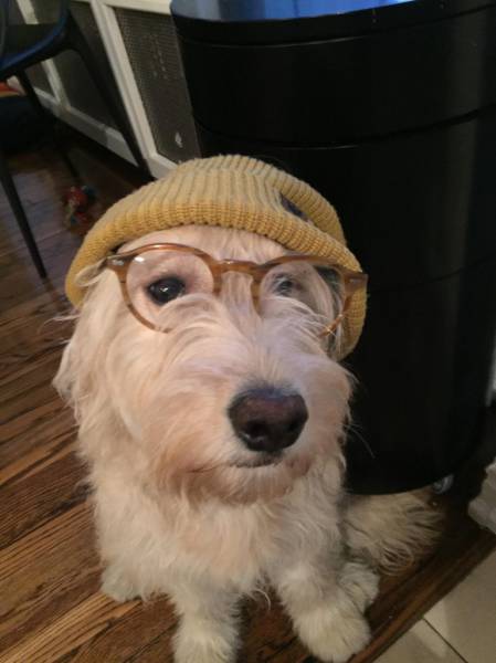 morning picdump 54 pics 18.html - 54 HD Photos | Premium Gallery 2015