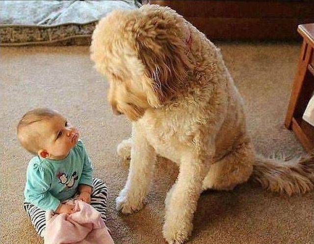 page,60,top 1500 daily pics of the year 2015.html - 1 HD Photos | Premium Gallery 2015