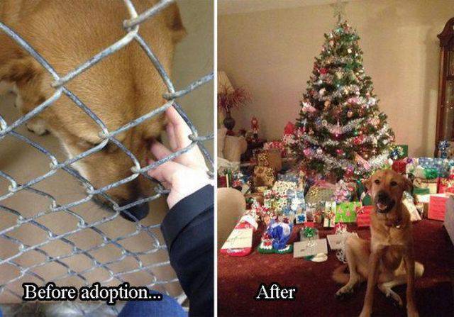 daily picdump 101 pics 101.html - 101 HD Photos | Premium Gallery 2015