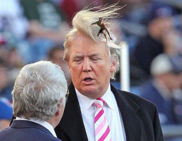 daily picdump 101 pics 101.html - 101 HD Photos | Premium Gallery 2015